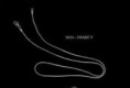/album/fotogaleria-retiazky/a5033-snake-v-jpg/